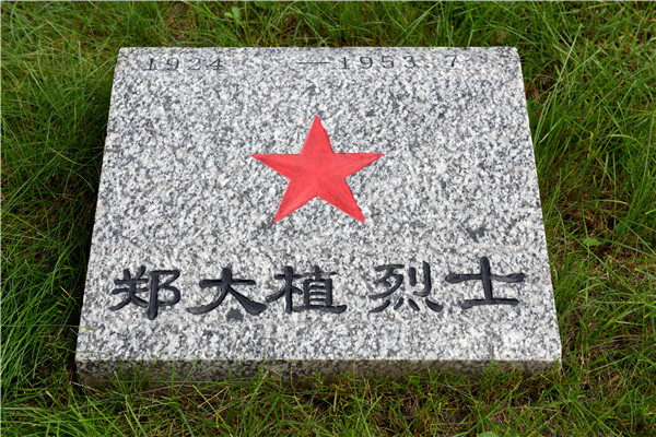郑大植