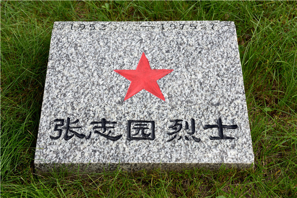 张志园